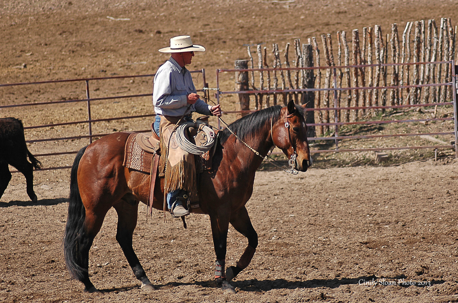 Bill - Project - Spring Gate Clinic - 2013